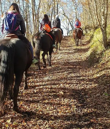 Oda ve Kahvaltı Di Giuseppe Pighi *