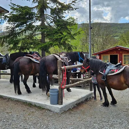 Di Giuseppe Pighi * Bardi