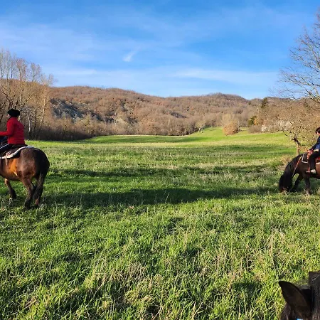 Di Giuseppe Pighi Bardi