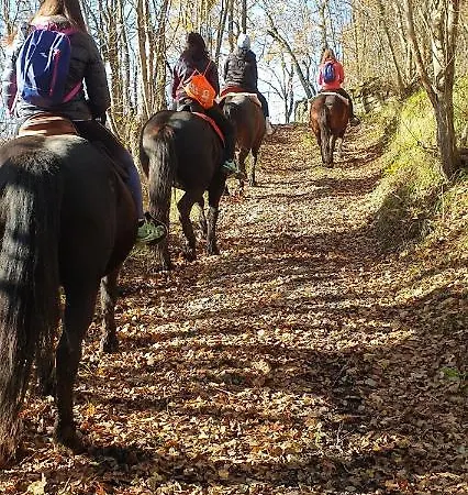 Bed and Breakfast Di Giuseppe Pighi *