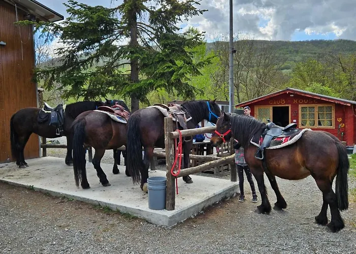 Di Giuseppe Pighi * Bardi