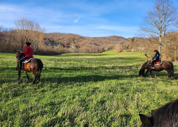 Di Giuseppe Pighi Bardi